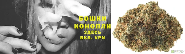 амф Билибино