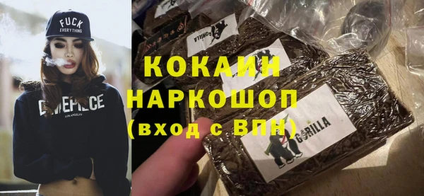 ALPHA PVP Няндома