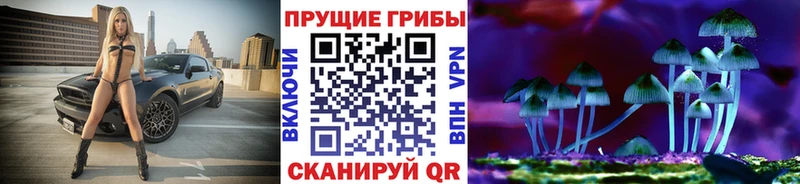 Псилоцибиновые грибы прущие грибы Алексеевка