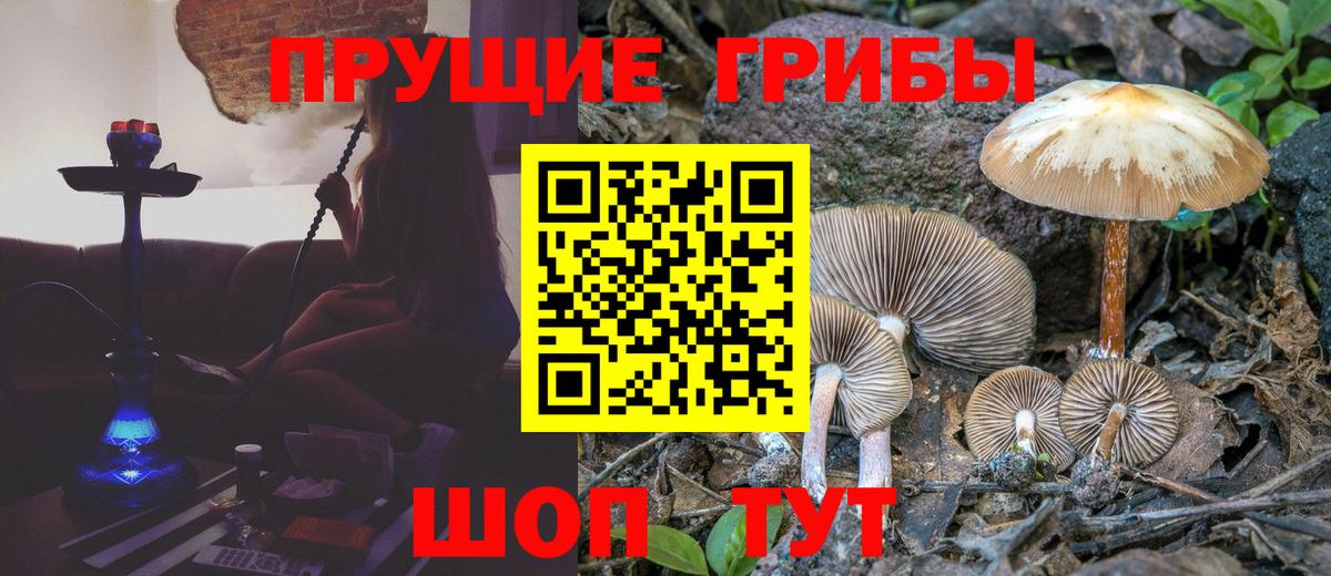 Псилоцибиновые грибы Psilocybe  Вход с VPN  Алексеевка  Псилоцибиновые грибы MAGIC MUSHROOMS 