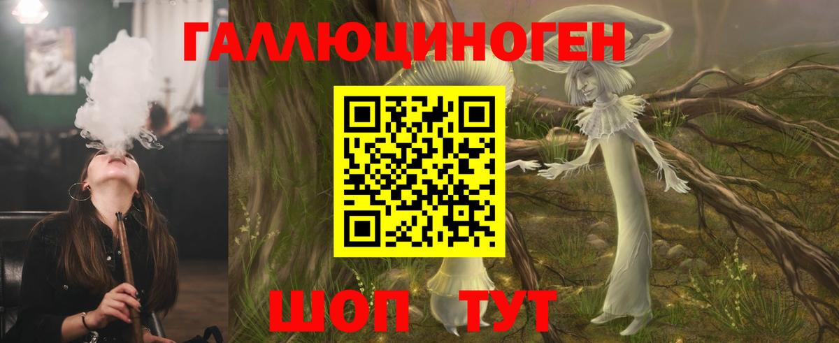 Галлюциногенные грибы прущие грибы  магазин продажи   Галлюциногенные грибы GOLDEN TEACHER  Алексеевка 